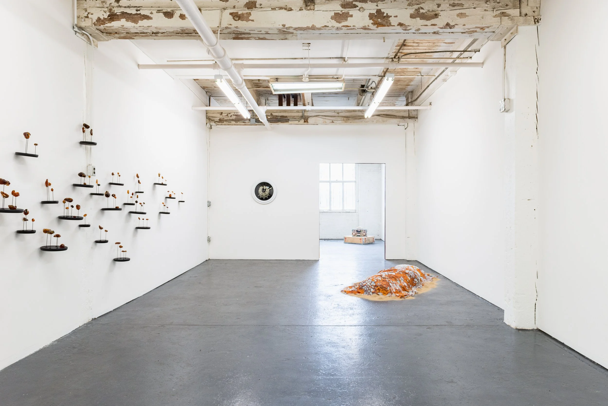 Jenny Kendler | Goldfinch — ARTISTS COMMIT